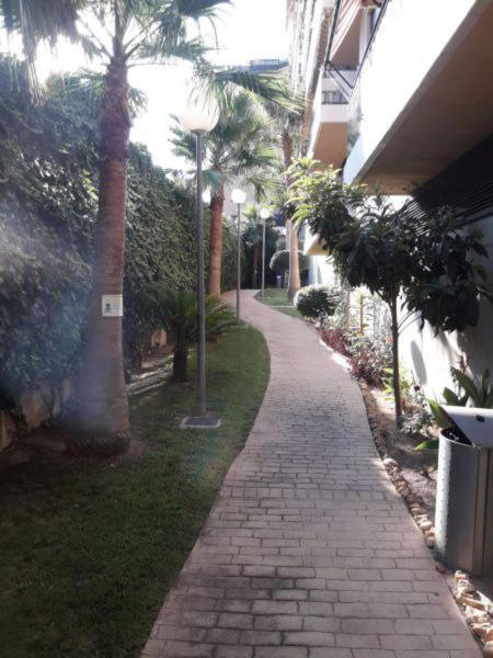 Mi Casa Es Tu Casa Gandia Apartamento Exterior foto
